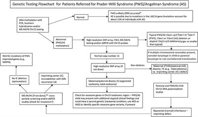 Chromosome 15 Imprinting Disorders: Genetic Laboratory Methodology and Approaches